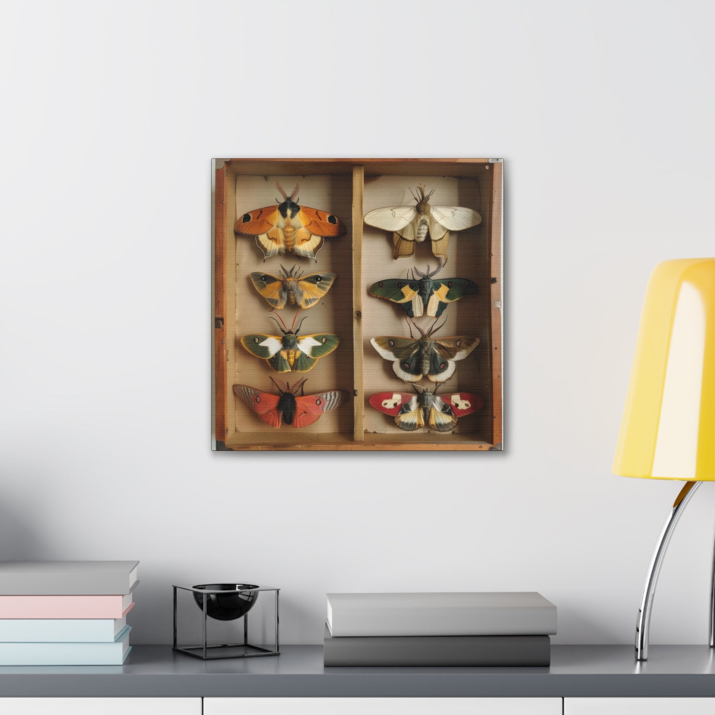 Moth Collection - Canvas Stretched, 0.75"