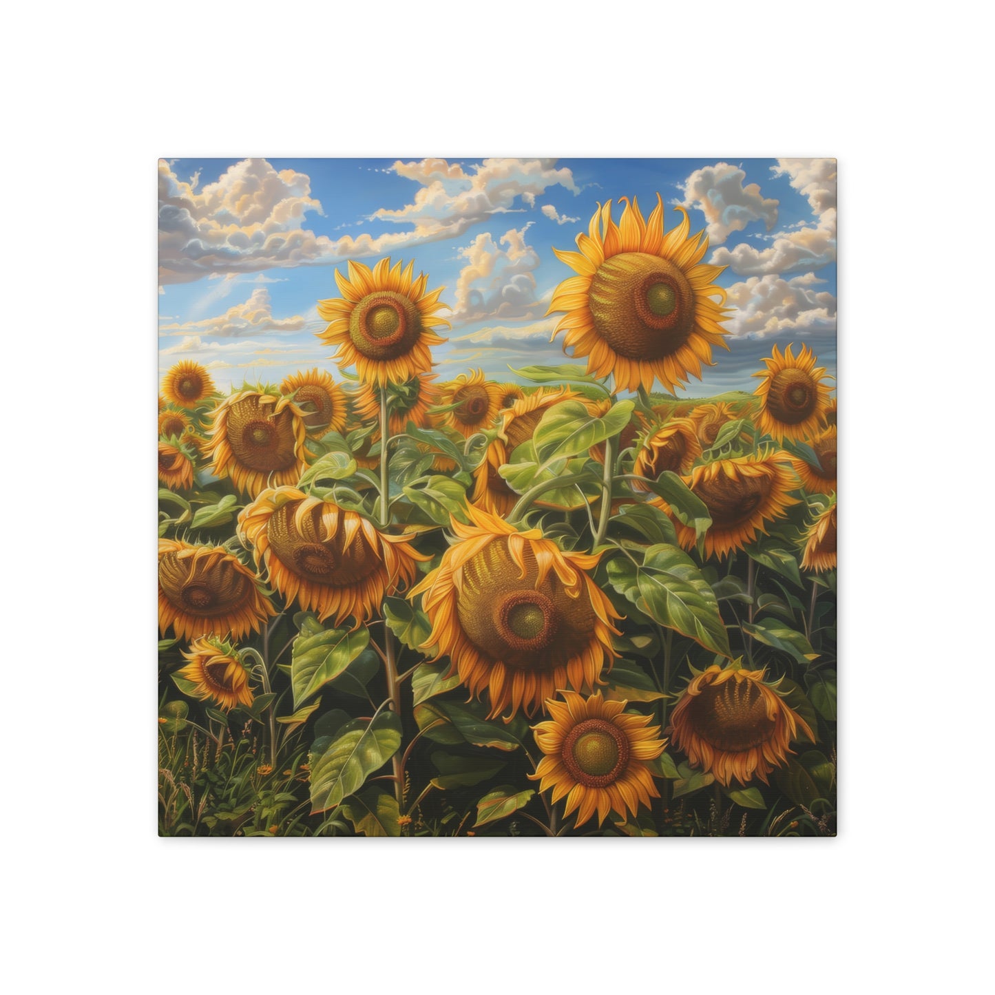 Sunflowers - Canvas Stretched, 0.75"