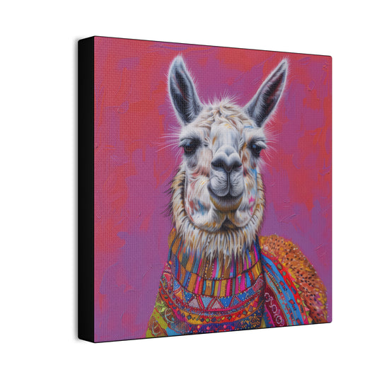 Llama - Canvas Stretched, 0.75"