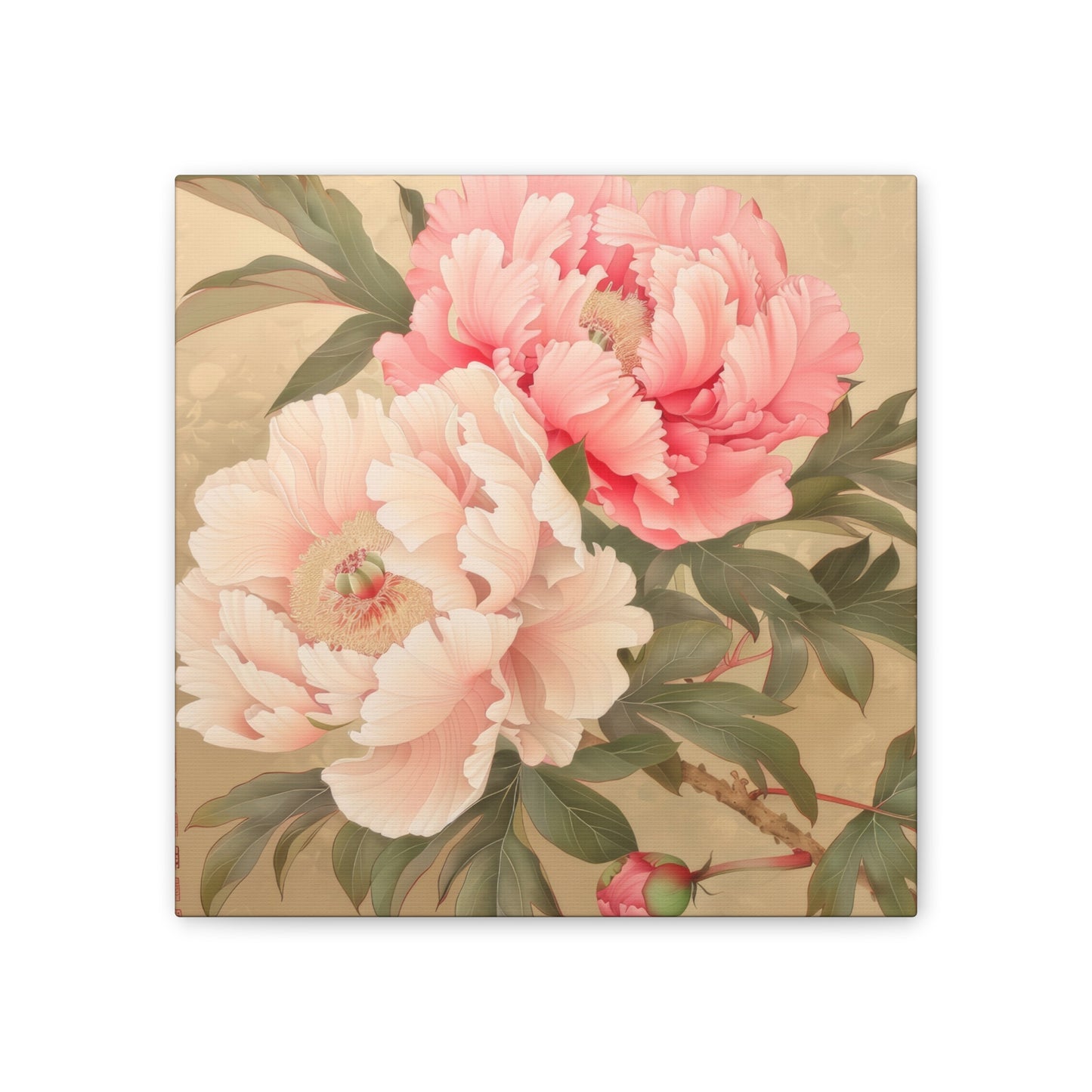 Peony - Canvas Stretched, 0.75"