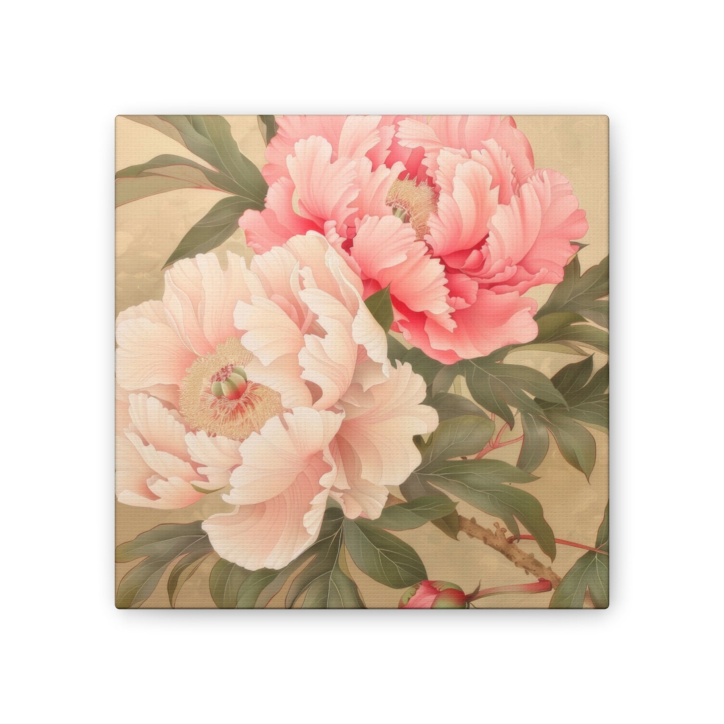 Peony - Canvas Stretched, 0.75"