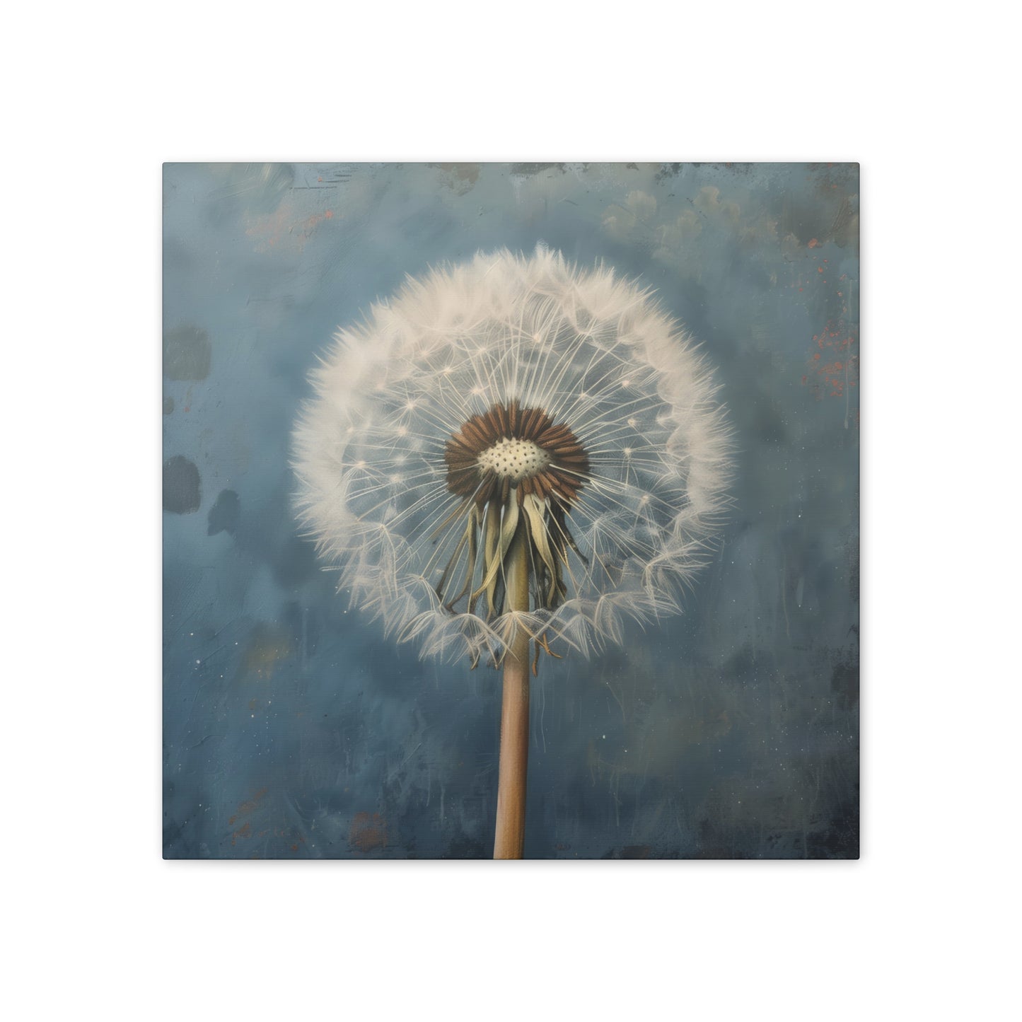 Dandelion - Canvas Stretched, 0.75"