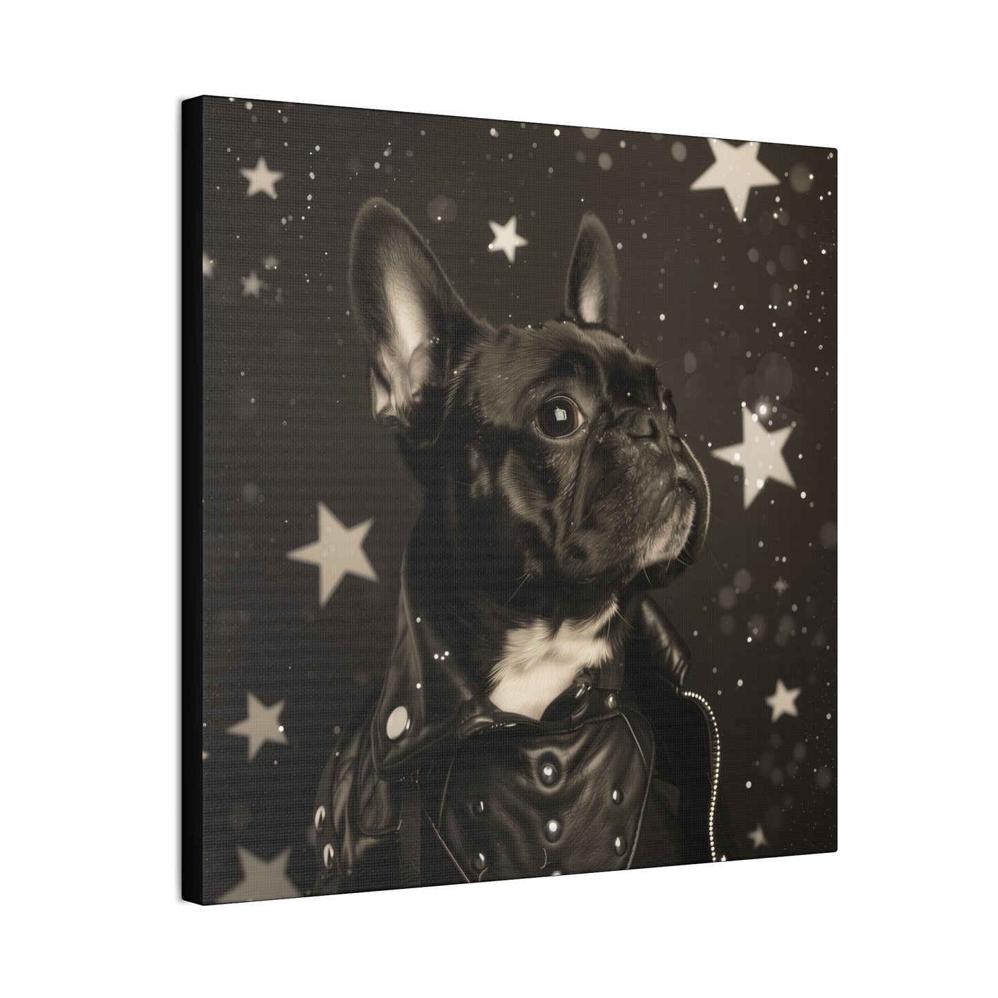 Star Dog Leather Jacket - Canvas Stretched, 0.75"