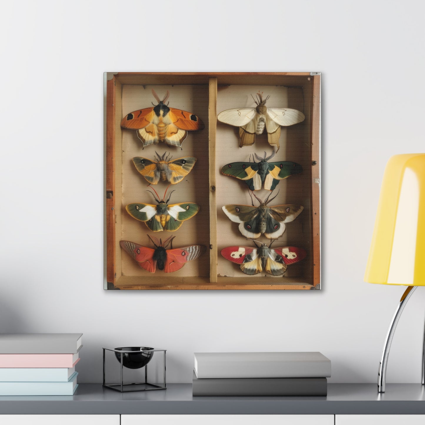 Moth Collection - Canvas Stretched, 0.75"