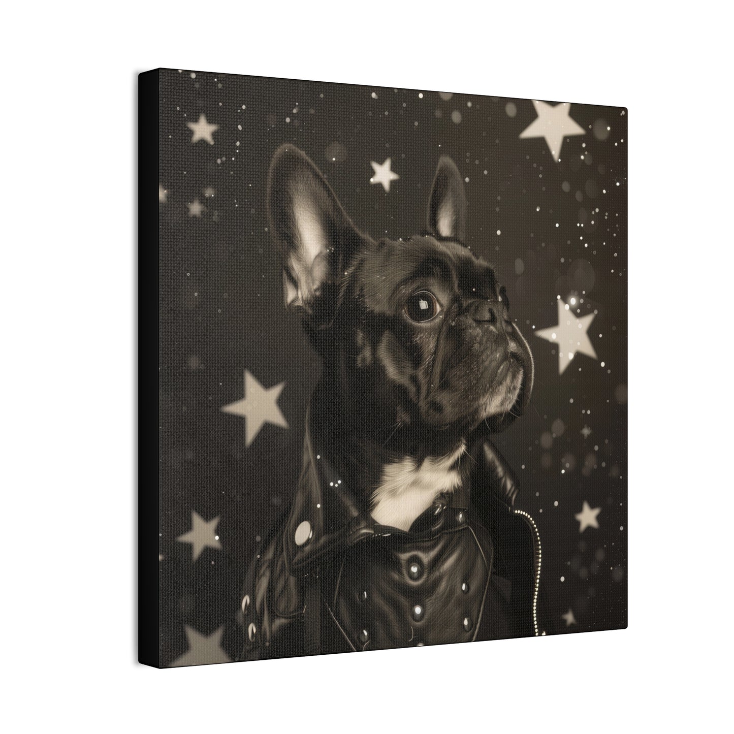 Star Dog Leather Jacket - Canvas Stretched, 0.75"