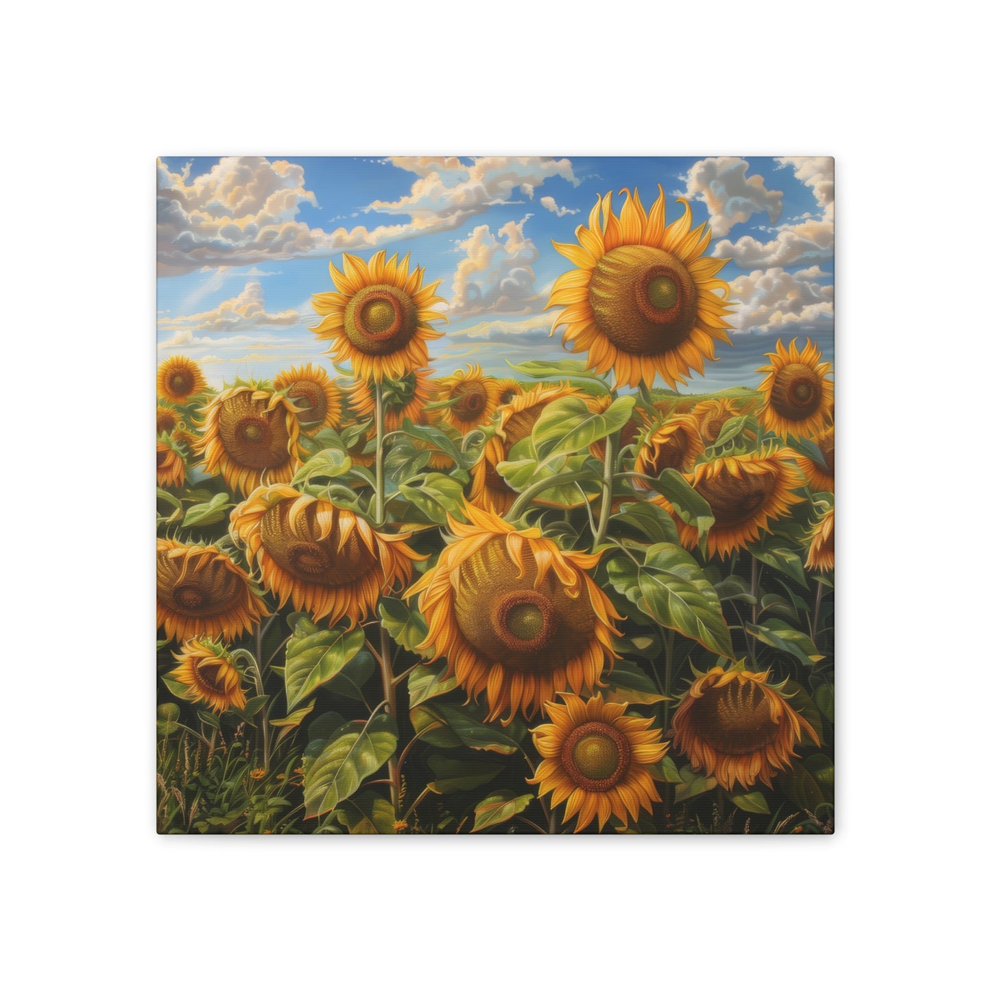 Sunflowers - Canvas Stretched, 0.75"