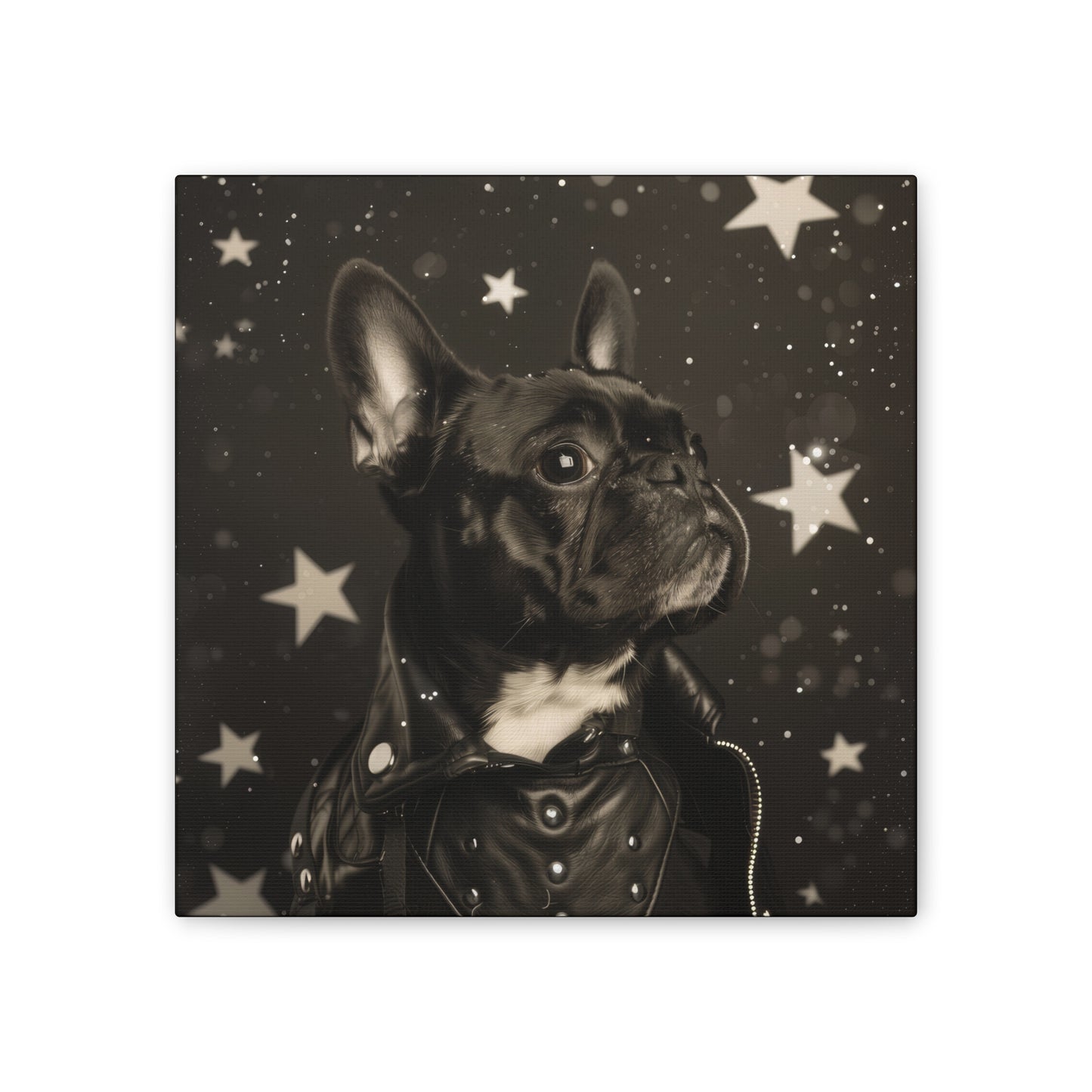 Star Dog Leather Jacket - Canvas Stretched, 0.75"