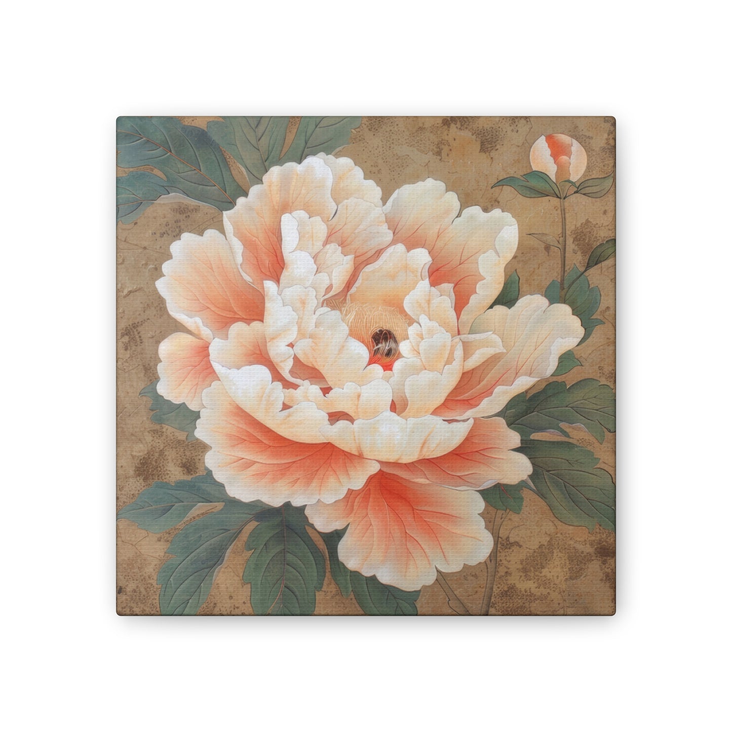 Peony - Canvas Stretched, 0.75"