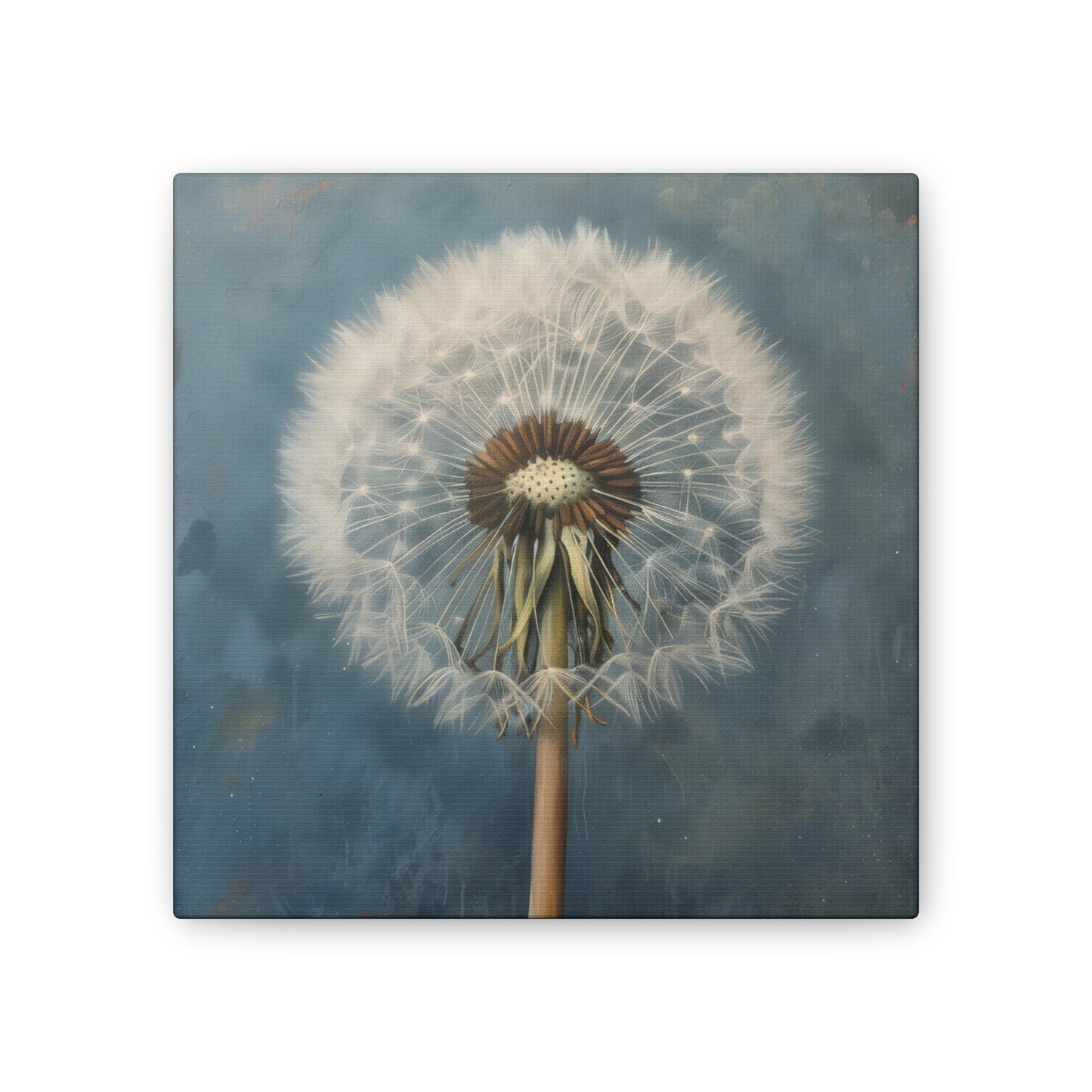 Dandelion - Canvas Stretched, 0.75"