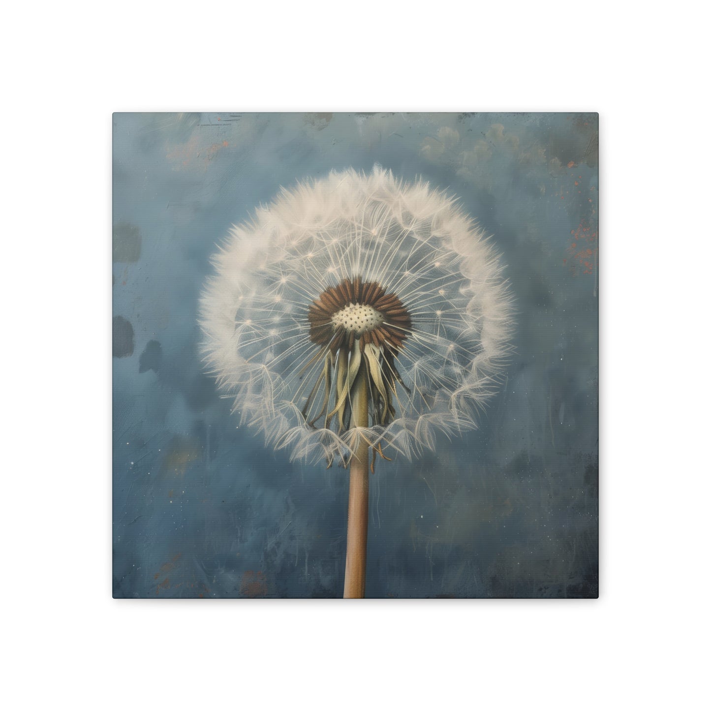 Dandelion - Canvas Stretched, 0.75"