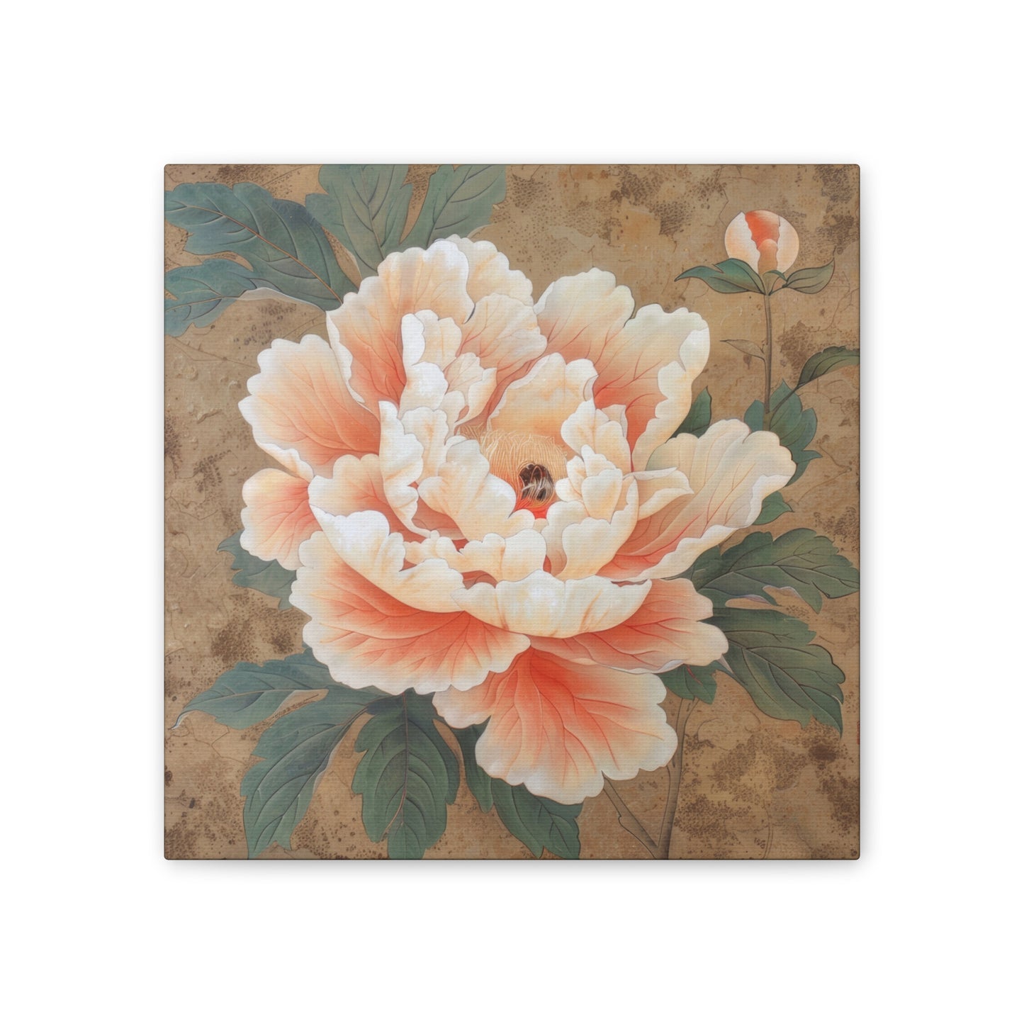 Peony - Canvas Stretched, 0.75"