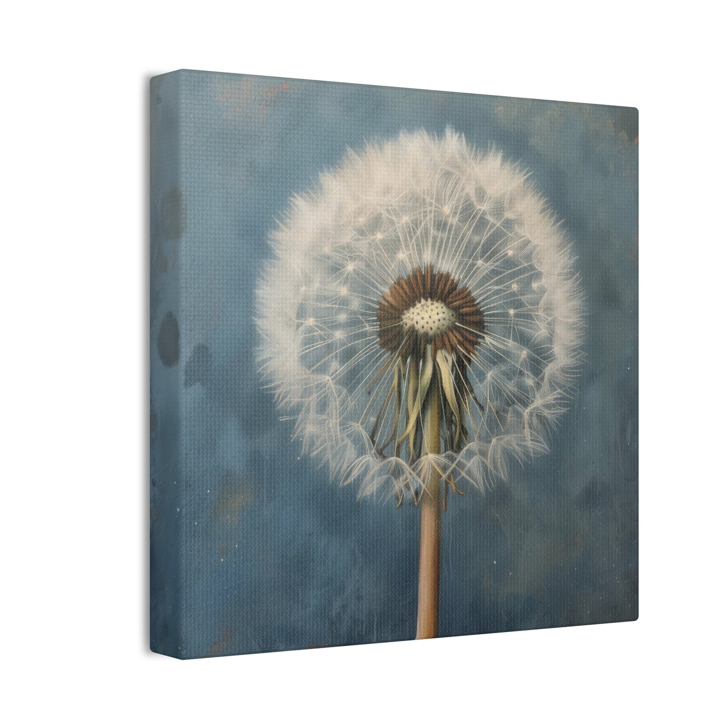 Dandelion - Canvas Stretched, 0.75"