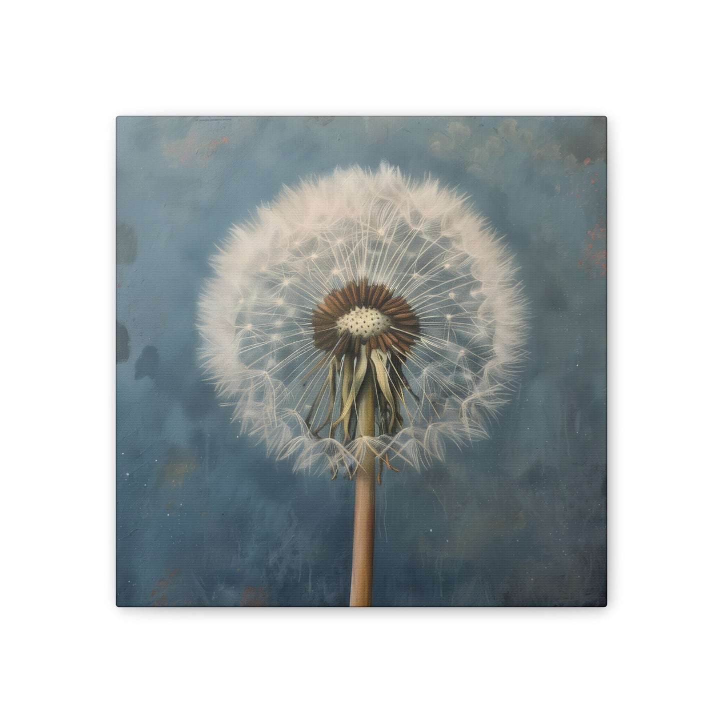 Dandelion - Canvas Stretched, 0.75"