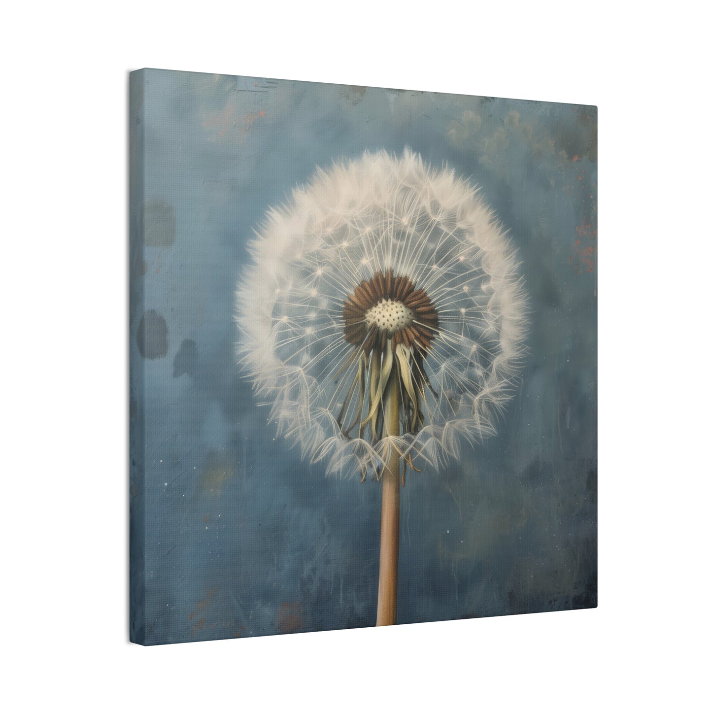 Dandelion - Canvas Stretched, 0.75"