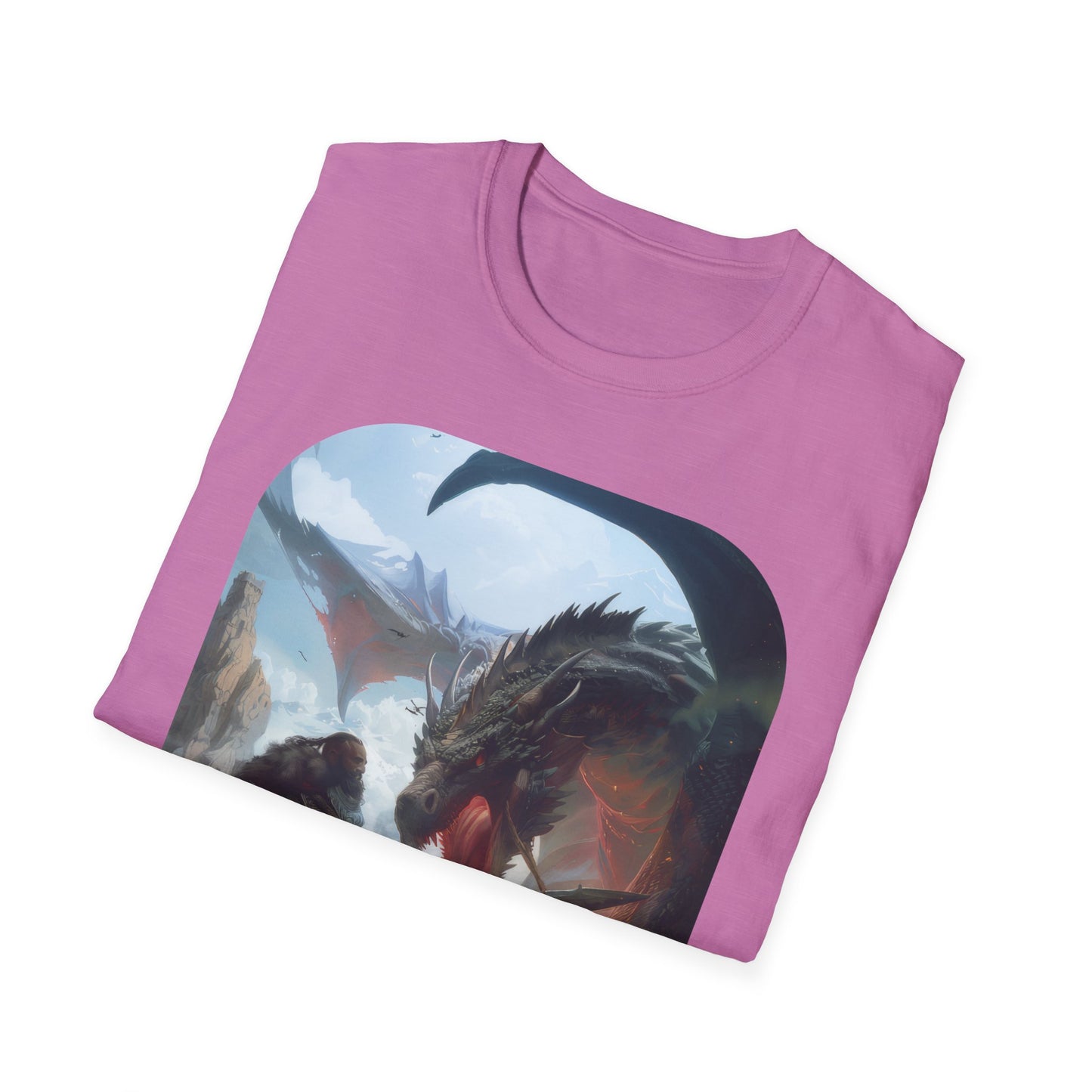 Fighter and Dragon - Unisex Softstyle T-Shirt