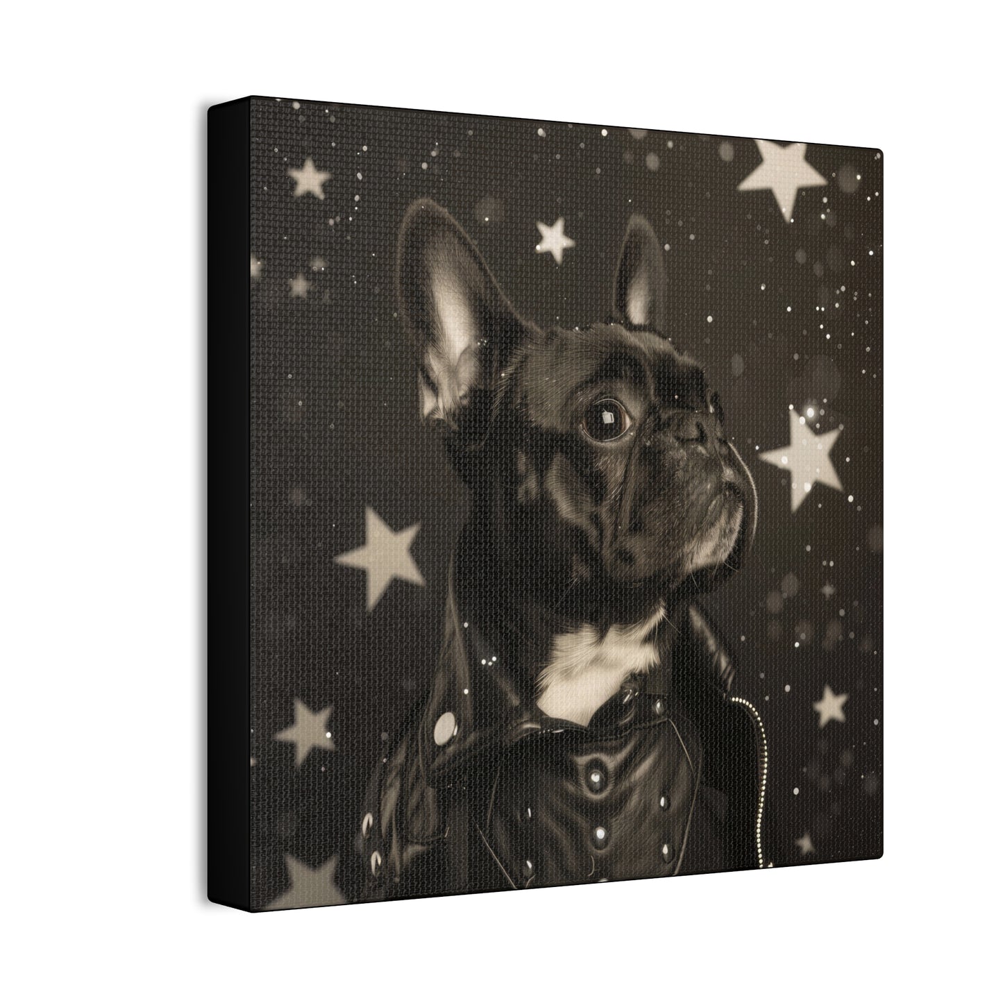 Star Dog Leather Jacket - Canvas Stretched, 0.75"