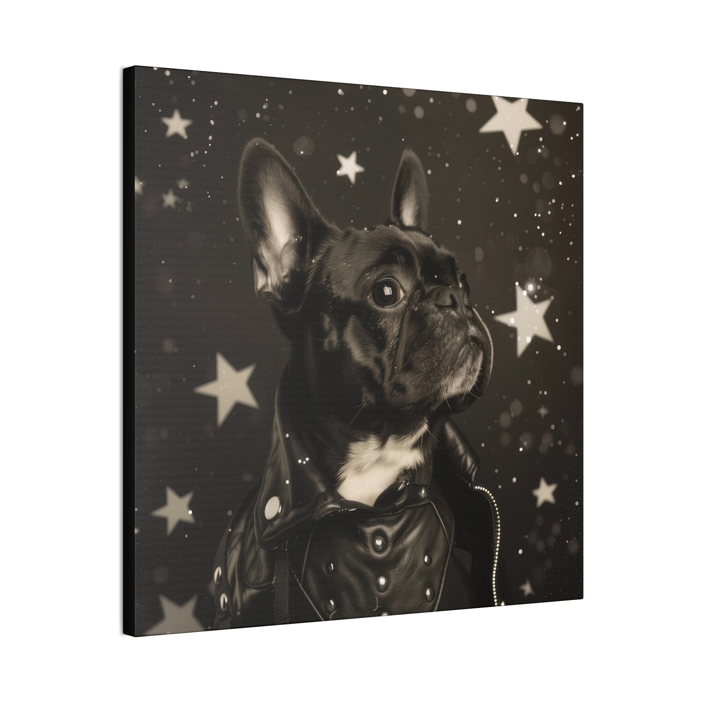 Star Dog Leather Jacket - Canvas Stretched, 0.75"