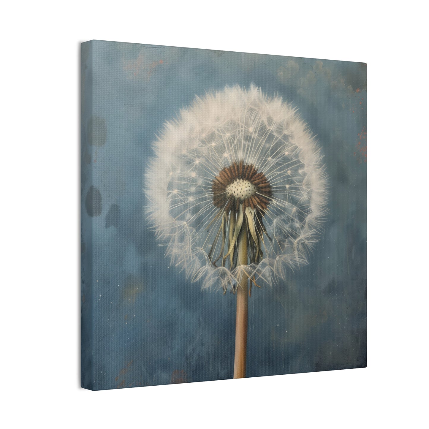 Dandelion - Canvas Stretched, 0.75"