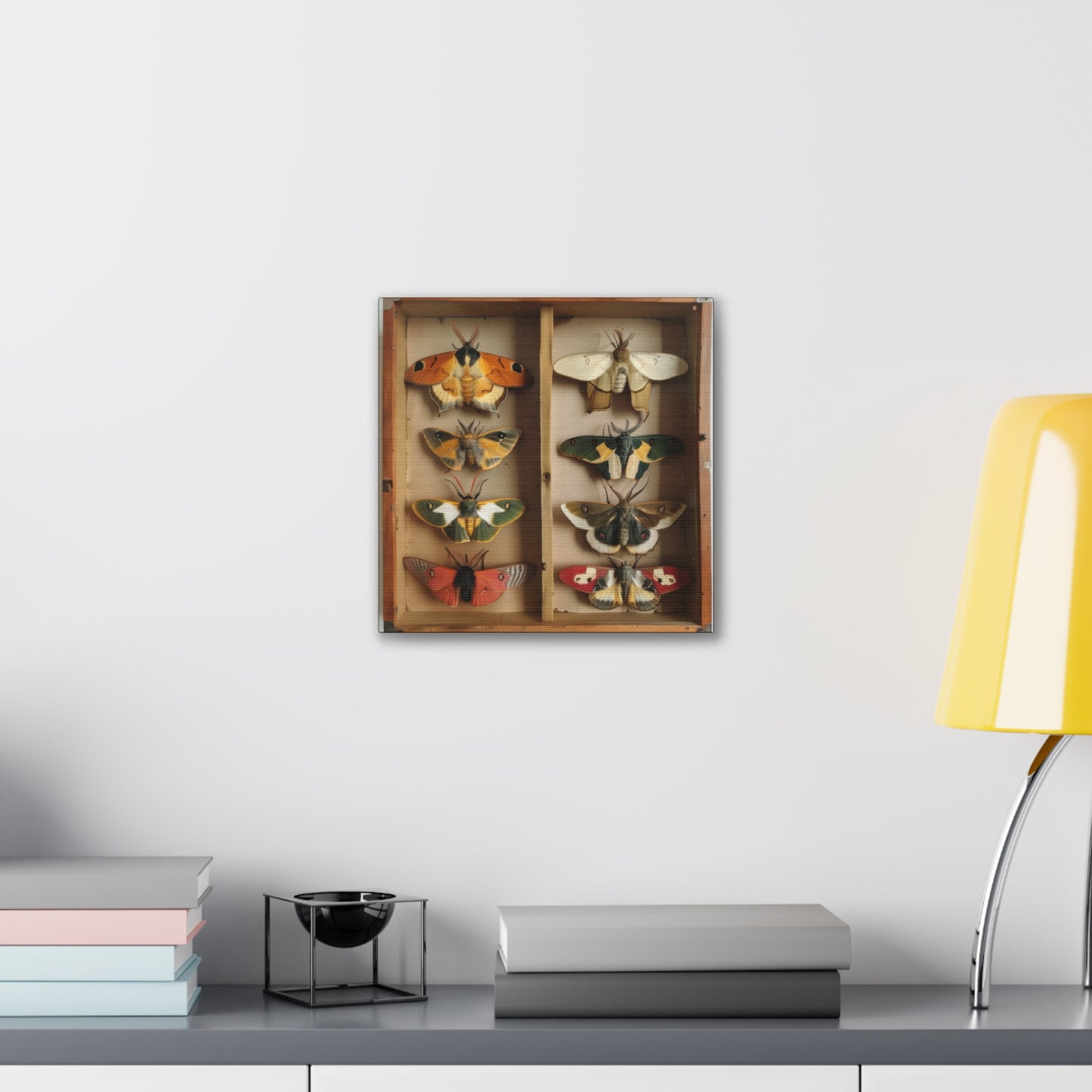 Moth Collection - Canvas Stretched, 0.75"