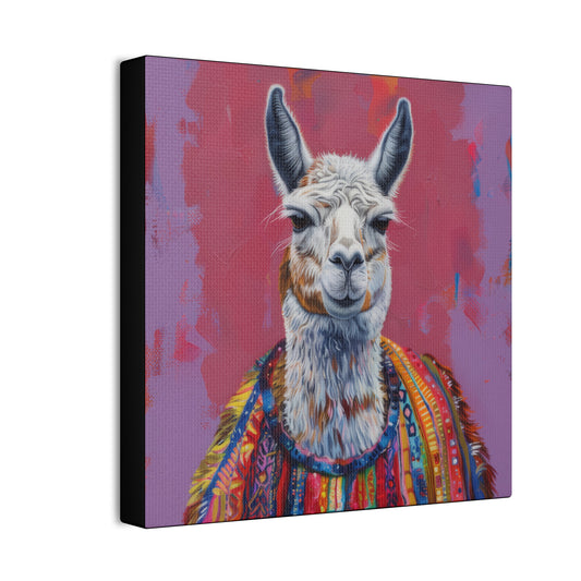 Llama - Canvas Stretched, 0.75"